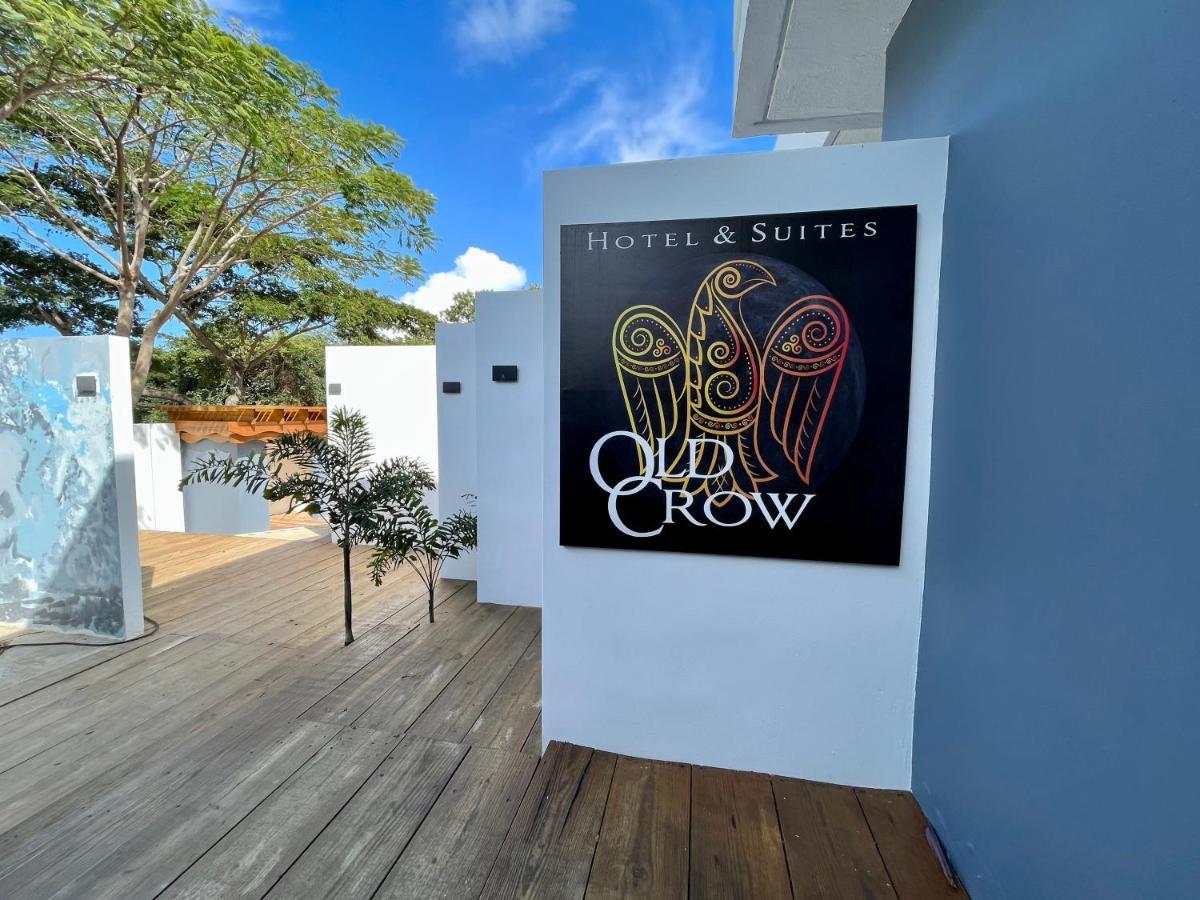 Old Crow Hotel And Suites Vieques Exteriör bild