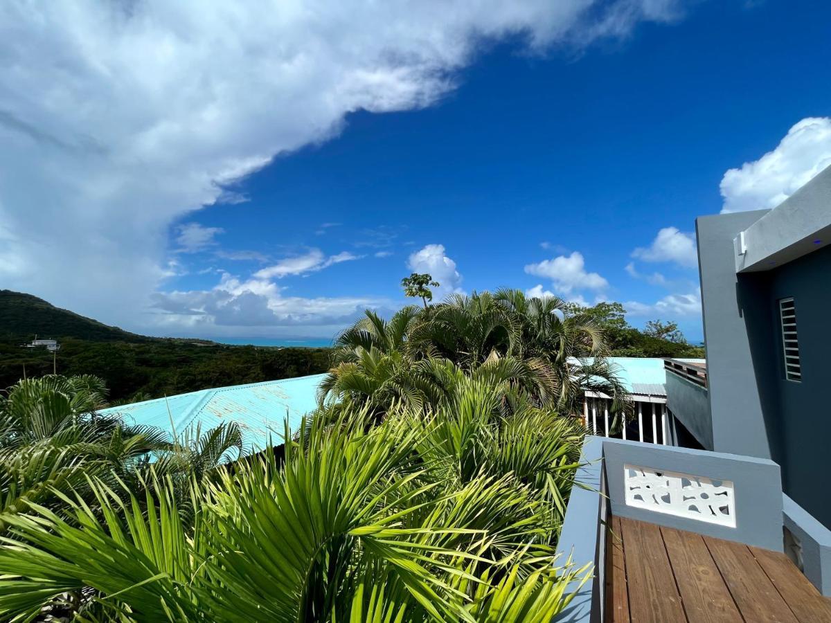 Old Crow Hotel And Suites Vieques Exteriör bild